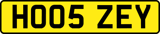 HO05ZEY