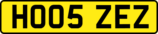 HO05ZEZ