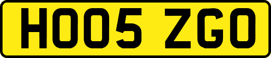 HO05ZGO