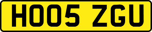 HO05ZGU