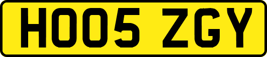HO05ZGY