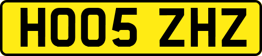 HO05ZHZ