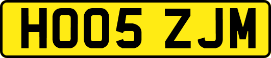 HO05ZJM