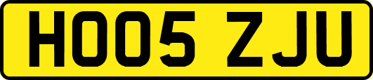 HO05ZJU