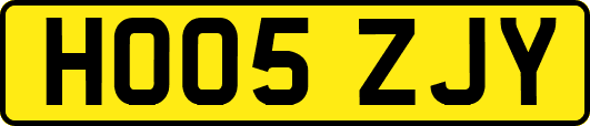 HO05ZJY