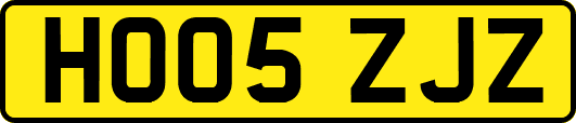 HO05ZJZ