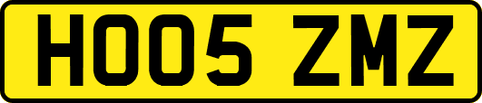 HO05ZMZ