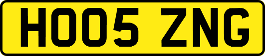 HO05ZNG