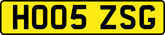 HO05ZSG