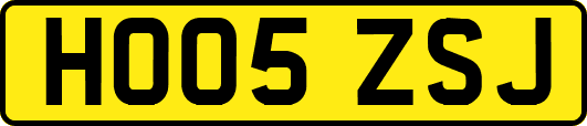 HO05ZSJ