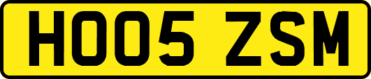 HO05ZSM