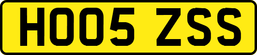 HO05ZSS