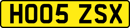 HO05ZSX