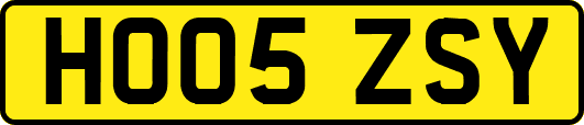 HO05ZSY