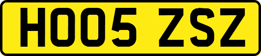 HO05ZSZ
