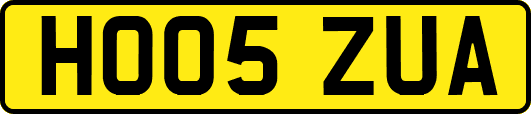 HO05ZUA