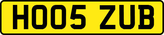 HO05ZUB