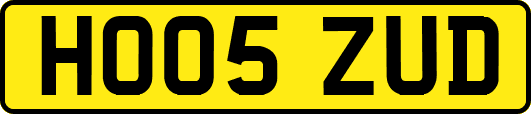 HO05ZUD