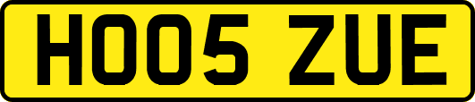 HO05ZUE