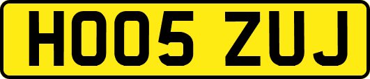 HO05ZUJ