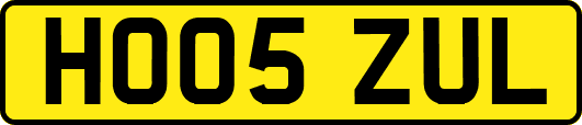 HO05ZUL