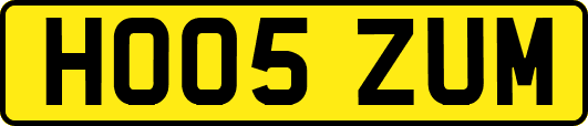 HO05ZUM