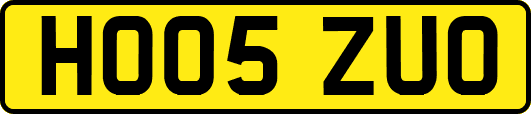 HO05ZUO