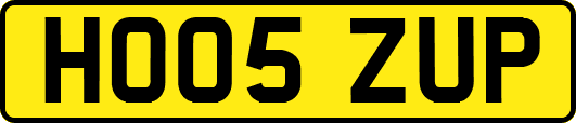 HO05ZUP