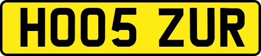 HO05ZUR