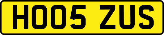 HO05ZUS