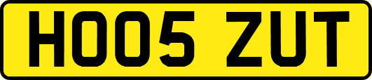 HO05ZUT
