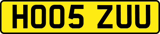 HO05ZUU