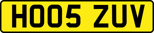 HO05ZUV