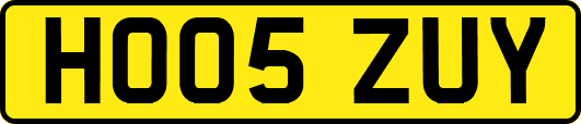 HO05ZUY