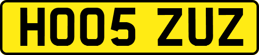 HO05ZUZ