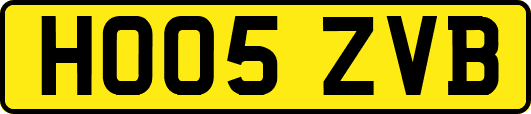 HO05ZVB