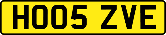 HO05ZVE