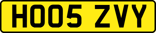 HO05ZVY