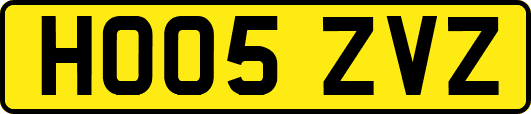 HO05ZVZ