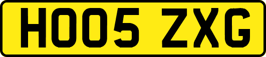HO05ZXG