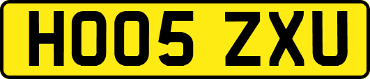 HO05ZXU