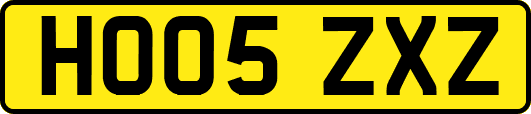 HO05ZXZ