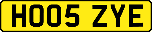 HO05ZYE