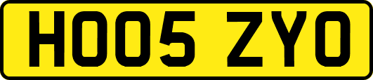 HO05ZYO