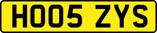 HO05ZYS