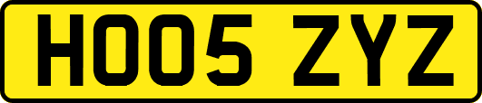 HO05ZYZ