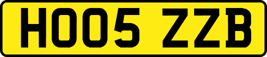 HO05ZZB