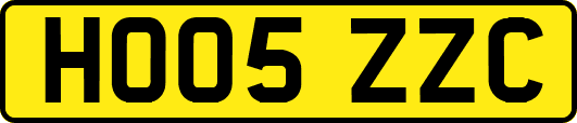 HO05ZZC