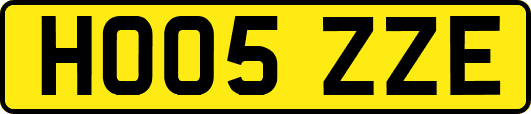 HO05ZZE