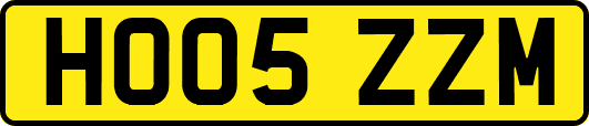HO05ZZM